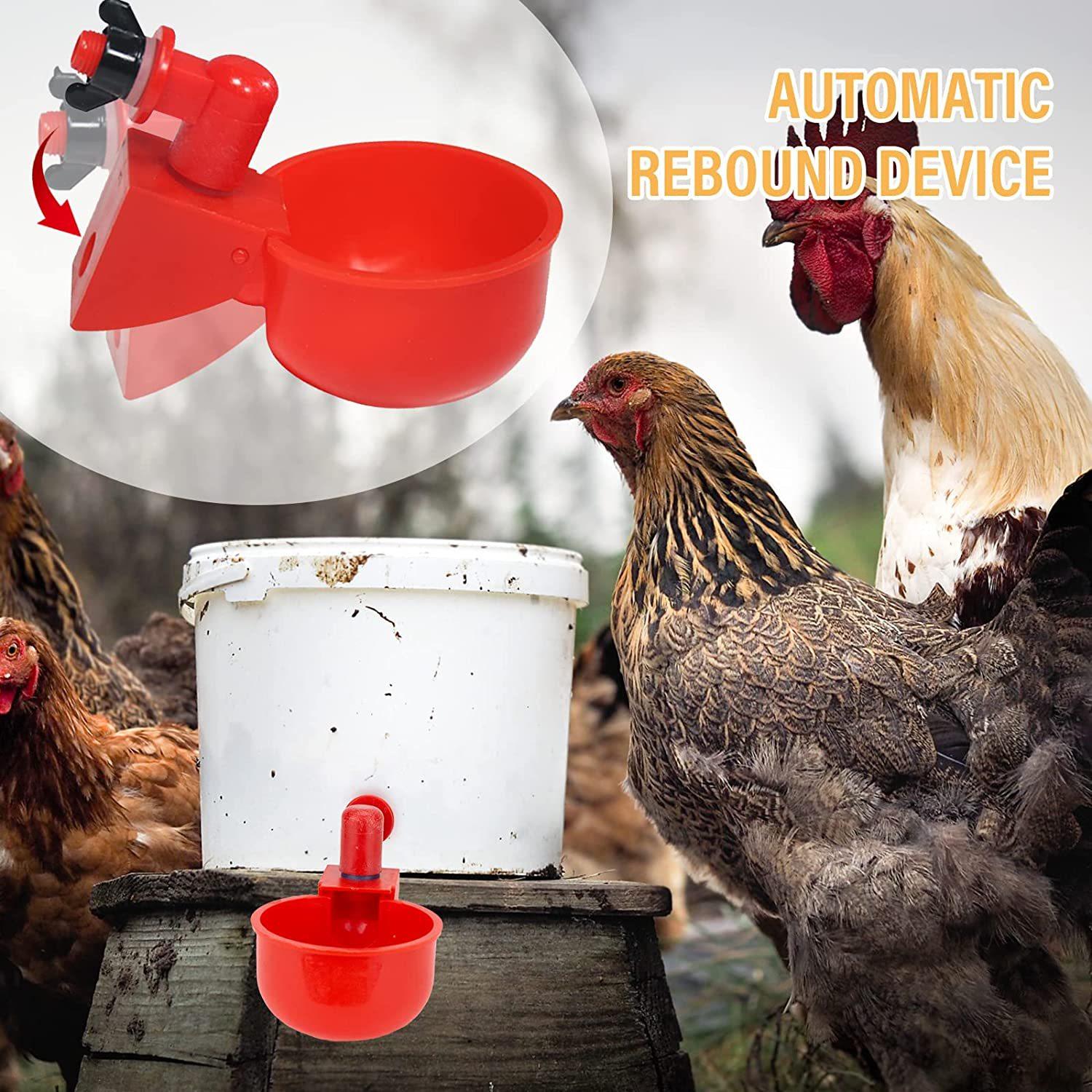 81R6FHd3TKL__AC_SL1500_