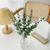 Plantas Verdes Simuladas Transfronterizas Hojas de Eucalipto Amazon Plantas Simuladas Venta al por Mayor Hojas de Eucalipto Decoración para el Hogar Boda