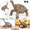 Simulação criatura marinha moreia peixe-palhaço tubarão-baleia tubarão-branco caranguejo brinquedos cognitivos infantis ornamentos de modelo animal