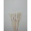 Brochetas pequeñas al por mayor para barbacoa de mercado nocturno, selección completa de brochetas calientes y frías, brochetas fritas, productos semiacabados, pollo Bobo y brochetas de cordero