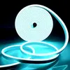 Tira de Luz de Neón Sxzm 12V 2835 con 120 Luces, Bajo Voltaje, Alto Brillo, Tira de Luz de Neón Flexible para Modelado DIY en Stock
