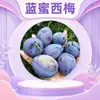 Ameixas Azuis de Mel de Shaanxi, disponíveis para entrega 1/3/ 2,5kg em caixas coloridas, suculentas, crocantes, doces, refrescantes, ricas em aroma frutado, fruta fresca