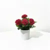 Venta Directa de Fábrica de 5 Arreglos Florales Artificiales de Claveles, Regalo para el Día de la Madre, Maceta Artificial Creativa para Sala de Estar y Mesa de Comedor