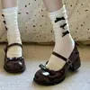 Sapatos Mary Jane Fashionáveis Versáteis Confortáveis com Laço Salto Grosso para Mulheres 2026 Primavera Novo Estilo de Fada Sapatos de Couro Retrô