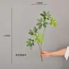 Rama Grande de Madera con Forma de Pico de Pato de Hoja de Dinero Artificial para Arreglos Decorativos en Habitaciones Modelo, B&Bs, Salas de Estar y Decoración del Hogar