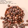 Material de cascabel de cáscara de fruta natural para accesorios de cuentas de llavero DIY hechos a mano, accesorios de pulsera, material de colgante de carillón de viento creativo