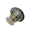 212004M500 adequado para termostato Nissan