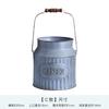 Vaso de Ferro Vintage Estilo Campo Francês Europeu Antigo Ferro Forjado Jardim Flor Flor Balde de Flores