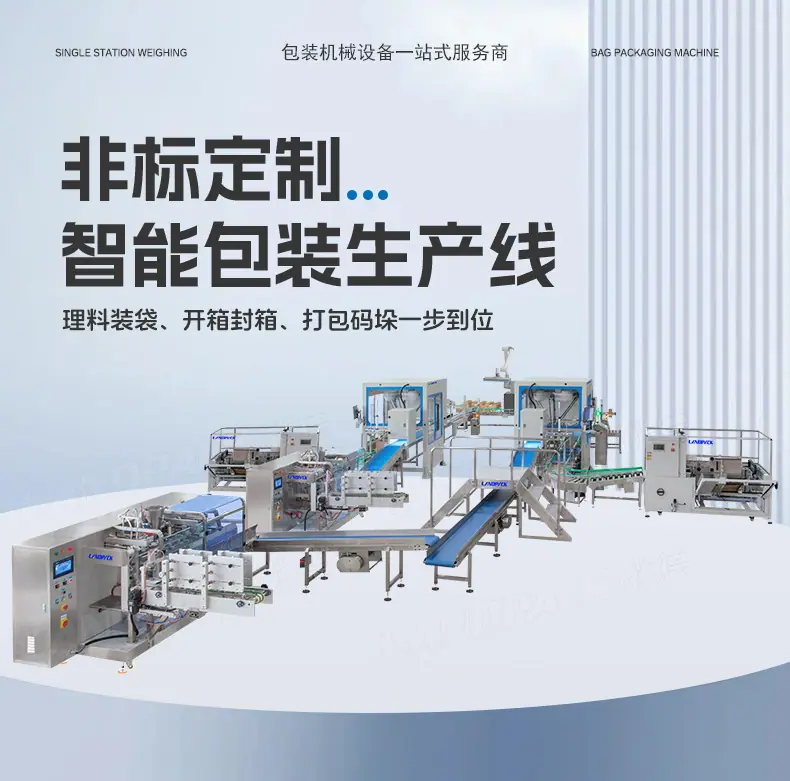 LDSP-210水平给袋包装线（水平给袋包装机+成品输送皮带