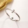 Directo de Fábrica Transfronterizo Explosiones Chapado en Titanio Acero 18K Pulsera para Mujer Sin Color Personalidad Flush Nicho Moda en stock