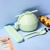 Conjunto de Talheres de Palha de Trigo com Tigela Única e Hashis para Almoço de Estudante, Tigela para Macarrão Instantâneo de Dormitório com Tampa, Tigela Japonesa para Macarrão Instantâneo