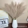 Hierba de Caña Artificial de 9 Ramas, Estilo Popular para Centros Comerciales y Hoteles, Decoración de Boda Festival de Plumas, Hierba de Cola de Zorro Artificial