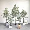 Simulação de bonsai de árvore de dinheiro, simulação direta da fábrica de piso de eucalipto, decoração de interiores de plantas falsas, vasos de plantas