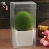 Caja de Embalaje Transparente de 7 cm, Caja de Plástico, 7*7*A, Gama Completa de Tamaños