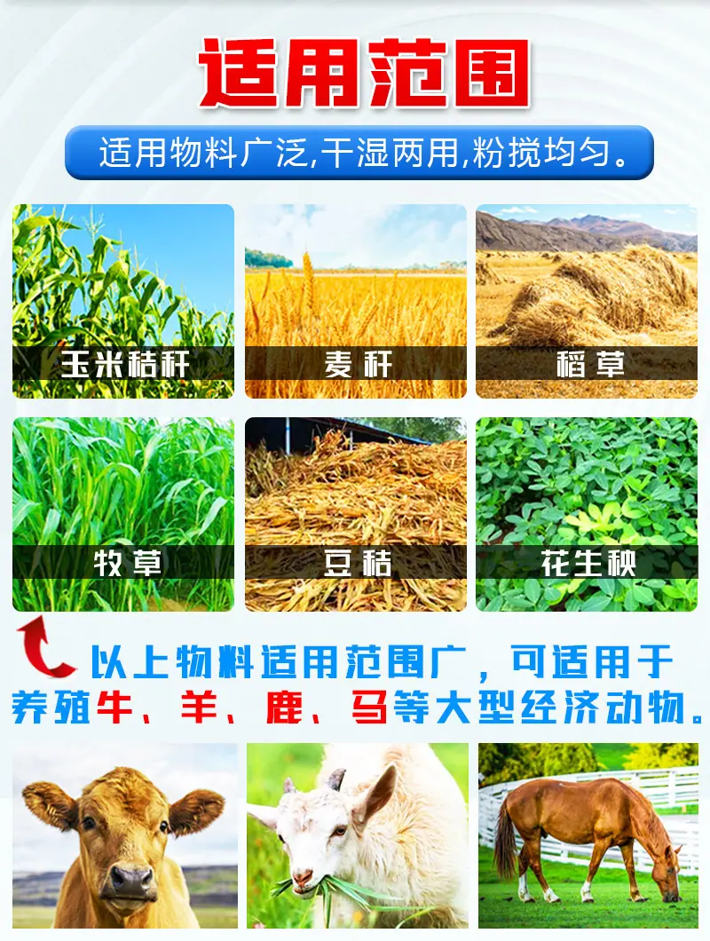立式搅拌机7.png