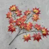 Hojas de árbol artificiales: hojas de arce rojo, hojas de arce japonés, hojas de ginkgo, hojas de plátano de sombra, hojas de sicómoro, hojas de arce de cinco puntas, ramas de aliso, hojas de plástico artificial