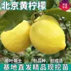Envío Directo Plántulas de Limón Amarillo de Pekín, Plantas Verdes, Plantas en Maceta, Plántulas de Fruta sin Semilla para Patio Interior, Plantas Comestibles