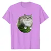 Camiseta Nueva con Estampado de Meme de Gato Sandía para Mujer, Moderna, Comercio Exterior, Holgada, Casual, Deportiva, Manga Corta