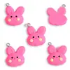 Colgante de Conejo Zanahoria de Resina Lindo de Dibujos Animados Accesorios de Joyería DIY Colgante para Pulsera Llavero W495