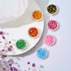 Yunmoonai Arte de Uñas DIY Arena Movediza con Purpurina Lentejuela Estrella de Cinco Puntas Fragmento de Corazón Relleno de Color Mixto Bolsa Pequeña Nueva