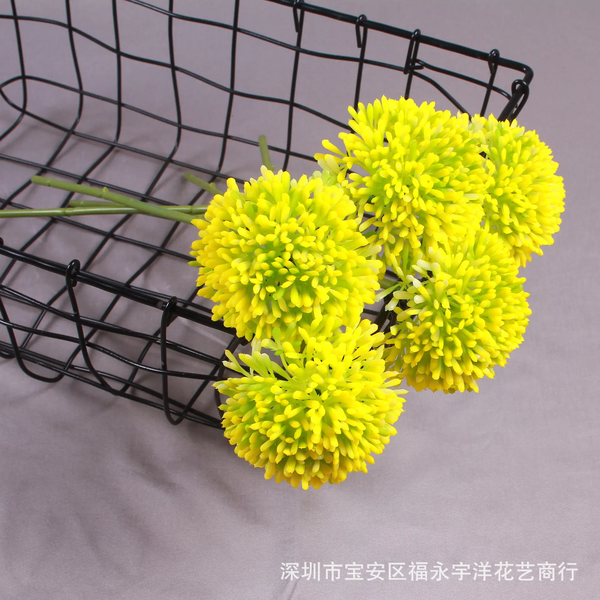 IMG_8578_副本.jpg