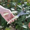 Tijeras de podar para jardinería, Tijeras para árboles frutales y flores de jardín, Tijeras duraderas de acero inoxidable para podar flores y recolectar frutas, Herramientas