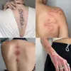 Artículo Popular Transfronterizo: Sol Oscuro y Luna Flor de Loto Espina Cinta Línea Tatuaje Tótem Medio Brazo Cintura Espalda Pegatina Amazon