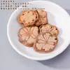 Conchas de Cáscara de Fruta Natural al por Mayor Kit de Materiales DIY para Carrillones de Viento Huevo de Fénix Muñeca Sonajero Accesorios