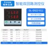 Controlador de temperatura, presión y nivel de líquido de doble circuito y doble haz de luz con dos instrumentos de visualización y dos entradas de señal 485