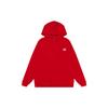 Ropa Infantil Dk Primavera y Otoño Estilo Americano Retro Sudadera con Capucha Estampado de Letras para Niños y Niñas Sudadera Casual Infantil