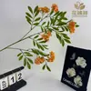 Novo Estilo de Flor de Sophora de Galho Único com 3 Pétalas Flor Artificial Decoração de Sala de Estar Enfeites Vaso Seda Adereços para Fotografia de Casamento Atacado