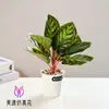 Planta verde de 11 folhas pequeno bonsai flor artificial de alta qualidade decoração criativa de interior planta verde de fábrica flor artificial em vaso