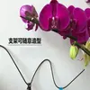 Clipe de Fixação de Plantas Suporte para Flor de Orquídea Borboleta Suporte de Clipe para Orquídea Haste de Suporte Plantas Trepadeiras Arame de Ferro Especial Curvável Horticultura