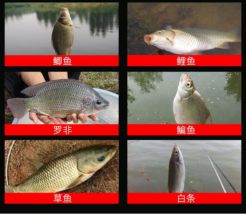未标题-3_05.jpg