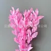 Arranjo de flores eternas folha laranja com ramos de folhagem, materiais florais DIY com toque de alta qualidade, atacado de fabricante de Yunnan, decoração de flores eternas