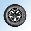 El Triangle Te301 es Adecuado para Neumáticos de Coche Chevrolet Cruze, Buick Excelle, Byd F6, New Emgrand, Sonata 175/65R15