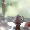 Tetera Creativa Hecha a Mano Estilo Japonés con Alto Atractivo Estético para Mujeres, Juego de Té de Hadas, Tetera Pastel, Juego de Té Kung Fu