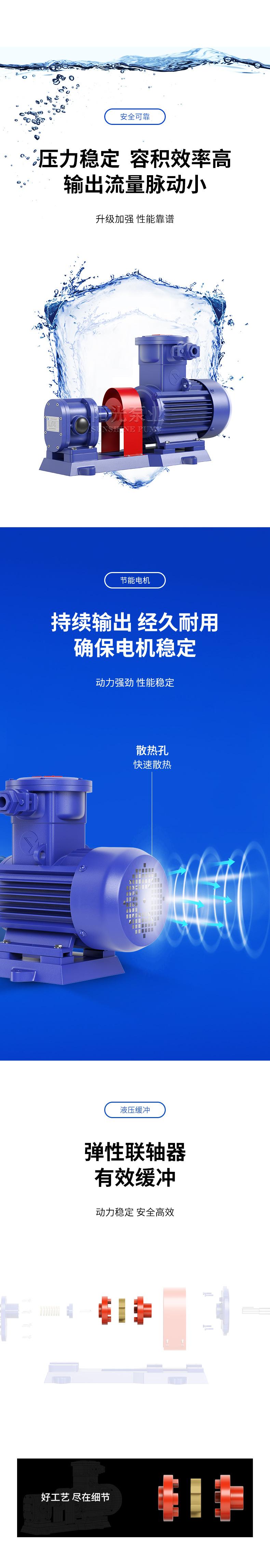 2CY型齿轮式输油泵详情2_01.jpg