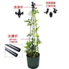 Clematis Flor de Cuatro Esquinas Torre con Forma de Soporte Estante para Flores Soporte para Plantas Trepadoras Jardinería de Balcón al Aire Libre Soporte para Molino de Viento Jazmín Rosa
