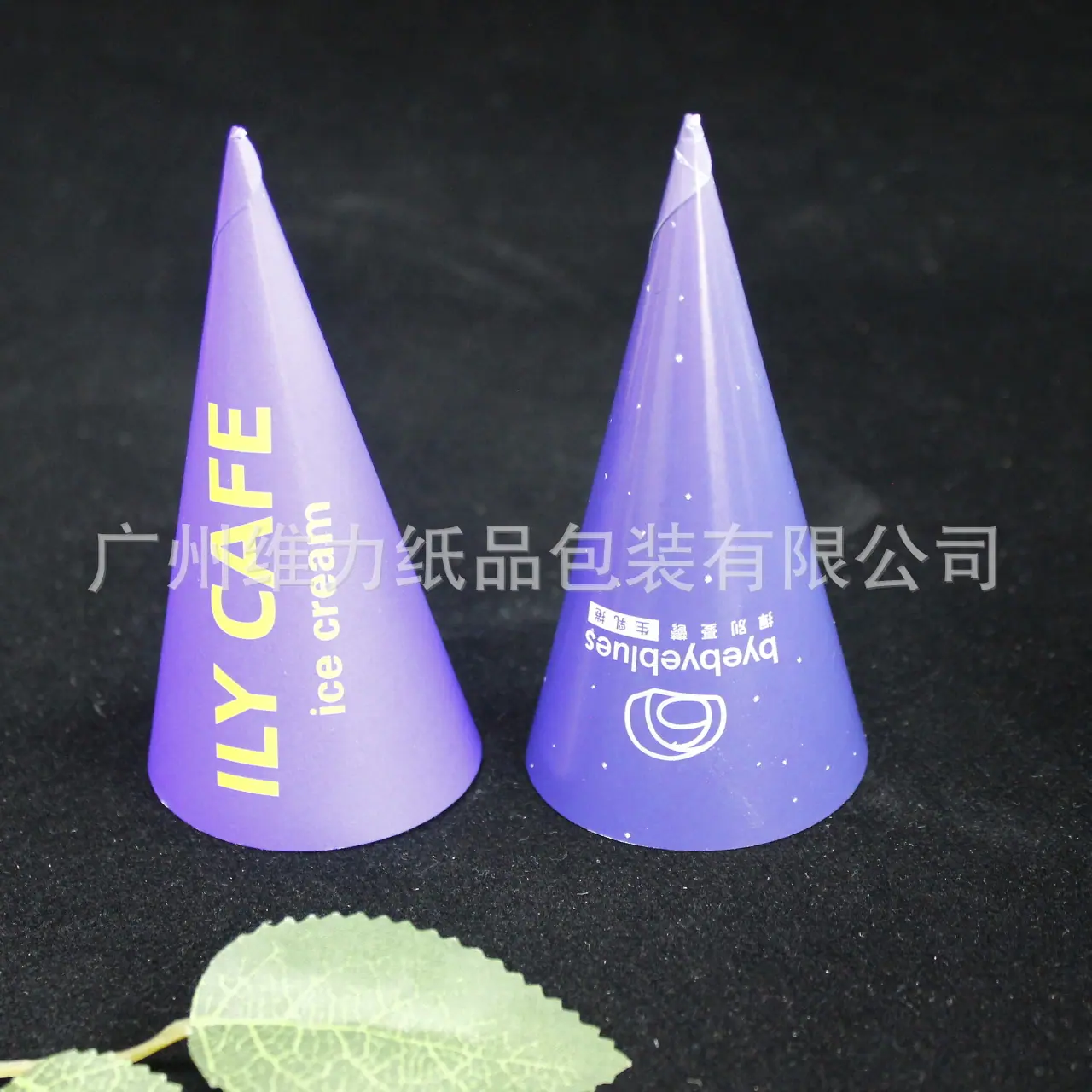 _MG_1901.JPG