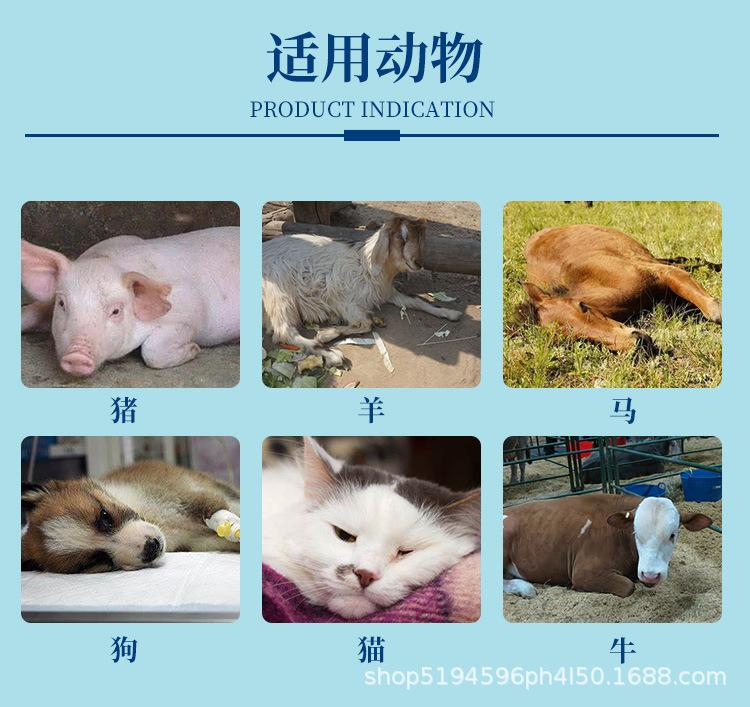 详情页3.jpg