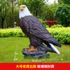 Escultura de Pássaro Simulada Íbis-de-Crista Águia Faisão-de-Ventre Vermelho Modelo de Fibra de Vidro Ornamento de Paisagismo para Jardim de Pântano ao Ar Livre