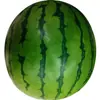 Semillas de Sandía Qilin, Sandía Perezosa de Azúcar de Hielo Extra Grande, Rey Dulce Gigante, Semillas de Verduras y Frutas Pequeñas del Sur de Cuatro Estaciones
