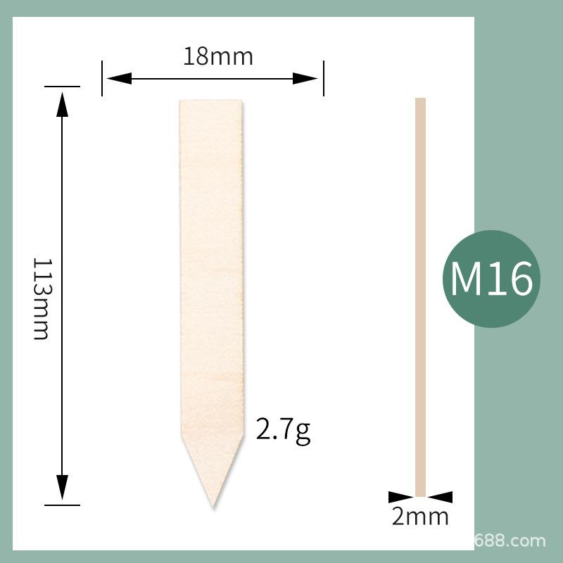 M16.jpg