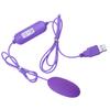 Ovo Vibratório Duplo com Controle Remoto USB Feminino de Frequência Variável Plug-In Recarregável Brinquedo Sexual para Adultos