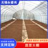 Invernadero de hortalizas, cobertizo para plantar melones, frutas y verduras, invernadero para plantar uvas, invernadero inteligente para exteriores con sombrilla, invernadero de hortalizas