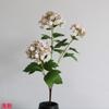 Flor Artificial buquê de hortênsia de madeira realista segurando bola de neve de flor flor artificial flor de seda mesa de jantar decoração de casa fotografia de flor material de flor