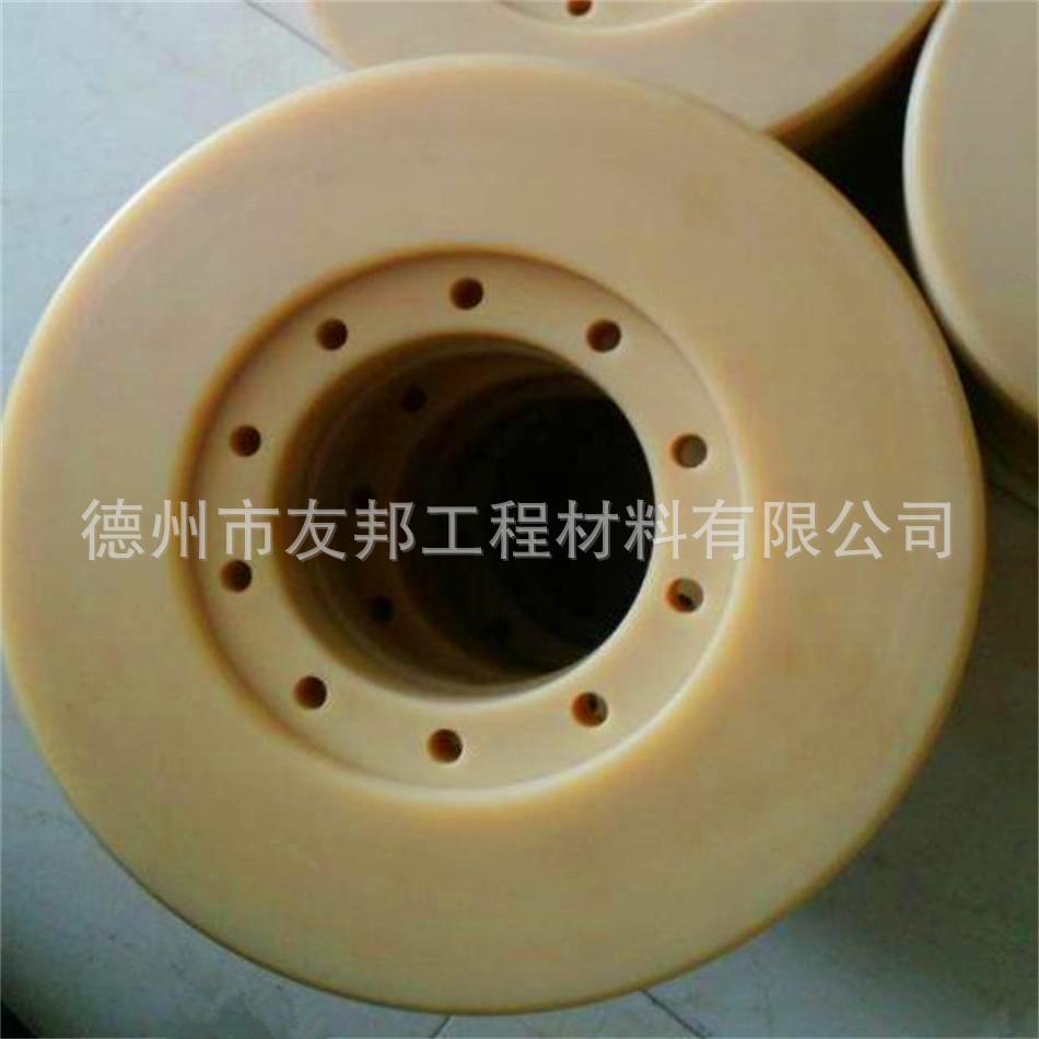 直径800mm尼龙浇铸加工件