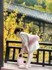 Invierno 2024 Ropa Nueva para Niños Ropa de Año Nuevo Niñas Estilo Chino Nuevo Chino Degradado Chaleco de Borreguito Cheongsam