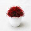 Planta Simulada Cola de Fénix Hemisferio Maceta Planta Verde Árbol con Flores Bola Adornos de Escritorio de Oficina Mini Pino Bonsái